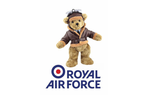 The Royal Air Force 100